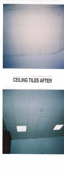 eagle_ceiling_tiles_after.jpg